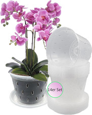 Set Di 14 Vasi Trasparenti per