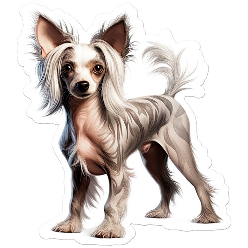 Cane crestato cinese adesivo - crestato,