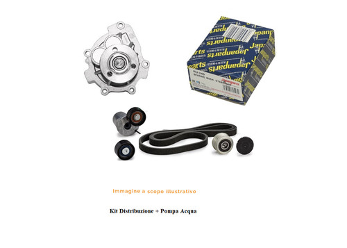 Kit distribuzione pompa - kit, +