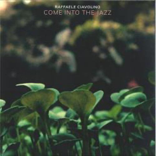 Raffaele ciavolino come into - ciavolino,