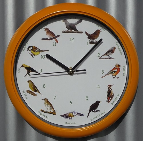 Orologio uccellino con - , uccelli