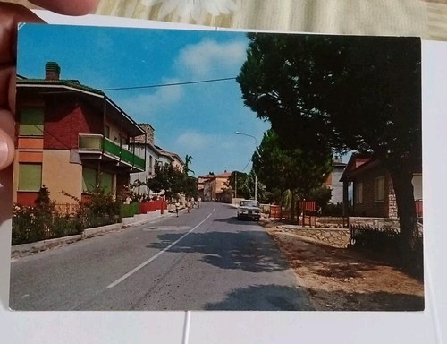 Terni 437 - terni,