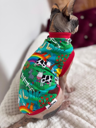 Shirt maglione gatto cotone - t-shirt,