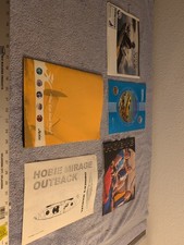 Vintage Hobie Mirage Outback