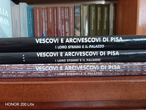 Dolfi vescovi e arcivescovi - vescovi,