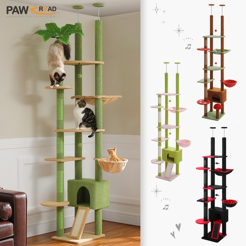Tiragraffi pawz road alto - pawz,
