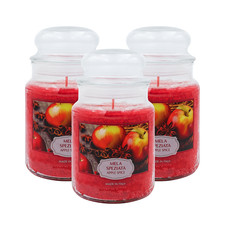3 CANDELE PROFUMATE GIARA