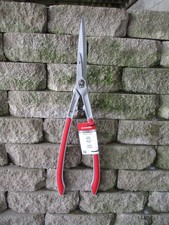Corona 7.25-in Standard Hedge