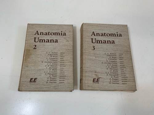 Anatomia umana edi - umana, vol