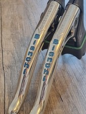 Leve Freno Campagnolo Pantographed BIANCHI Brake levers RECORD