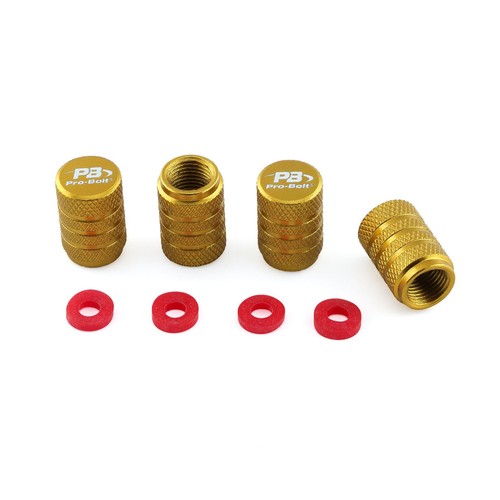 Tappi valvola polvere oro per - valvola,