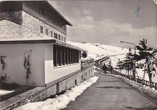 # NORCIA: FORCA CANAPINE-