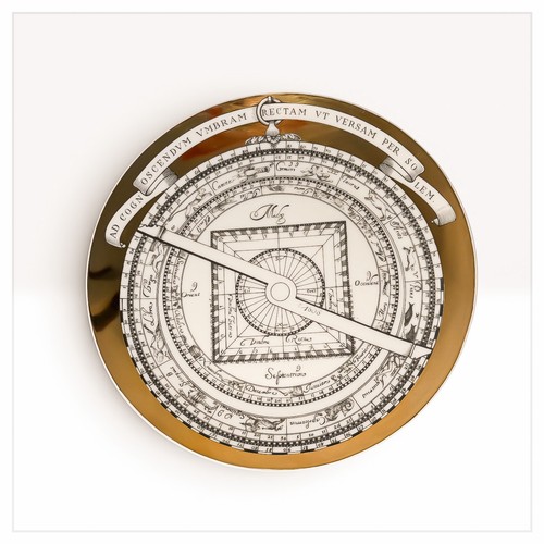 Piatto porcellana collezione - piatto,