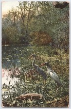 Cartolina d'epoca Florida