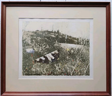 Giuseppe Banchieri Prova Unica