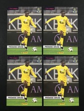 Promise David Rookie RC Lot 4