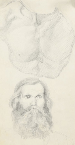 Disegno uomo barbuto e - di, un