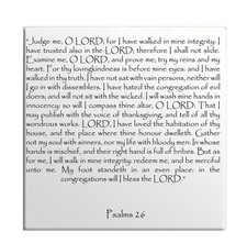 Calamita Frigo Salmi Capitolo