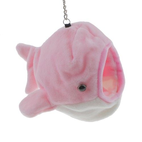 Ratto animale domestico - ratto,