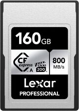 Scheda Lexar Professional