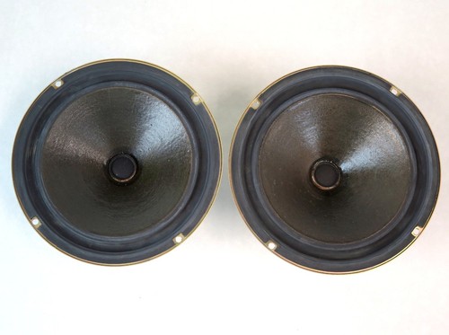 Pezzo woofer goodmans - 1,