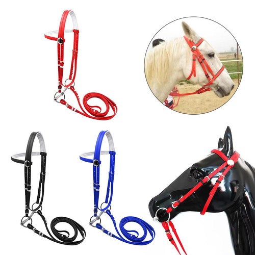 Briglia per cavallo con redine