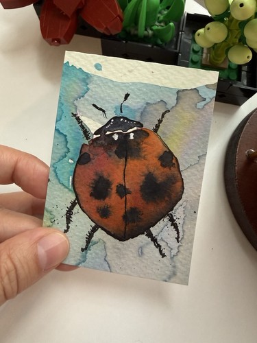 Originale ladybug aceo - originale,