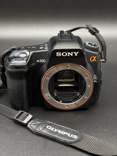 Sony alpha 300 dslr - 300, 10,2