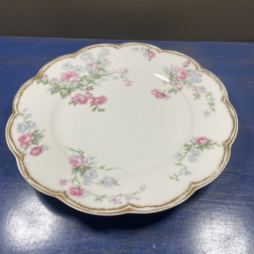 Haviland limoges piatto - limoges,