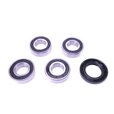 Cuscinetti Ruota Posteriori