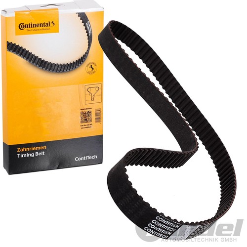 Cinture continentali per - cinture,