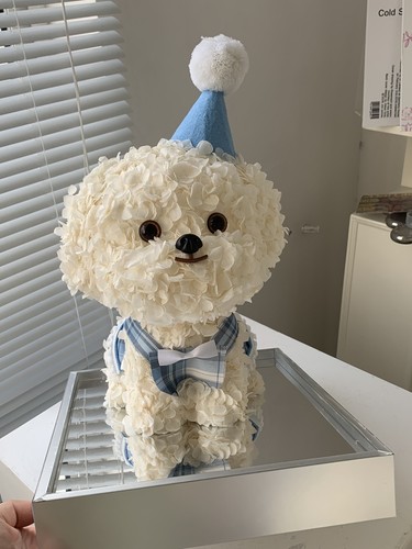 Eternal flower maltese dog - eternal, box