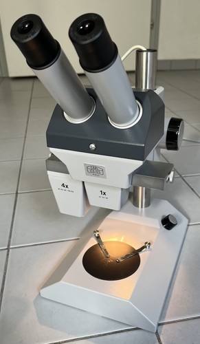 Microscopio stereo carl - microscopio,