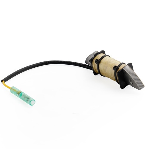 Stator alternateur pour - d'alternateur,