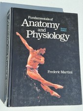 Fundamentals Of Anatomy And