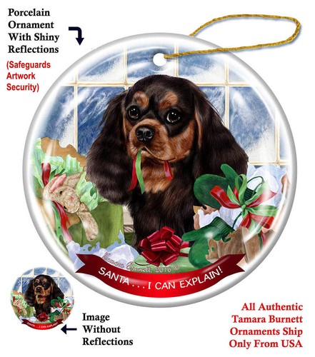 Cavalier king charles spaniel - cavalier,