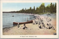 Vintage Postcard Scene Amherst