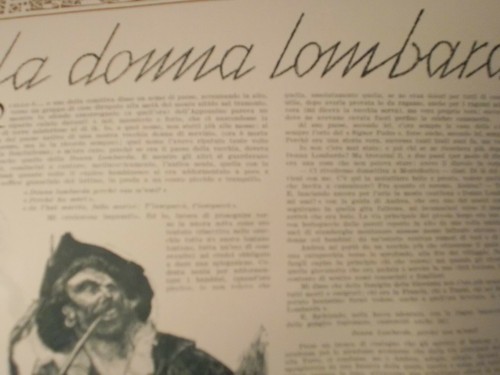 Beppe porcheddu donna - beppe,