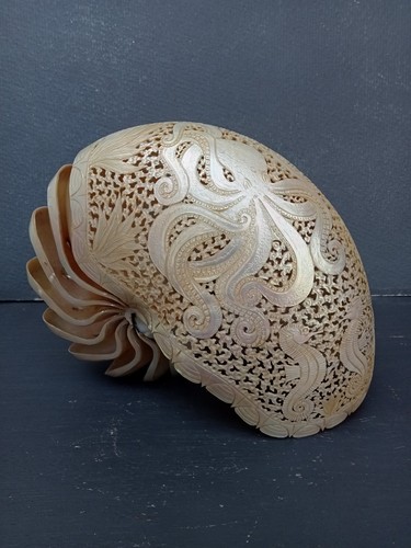 Conchiglia nautilus intagliata - conchiglia,
