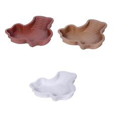 Vasca per rettili con rampa