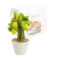 Bomboniera Nicarè alberello limoni in porcellana