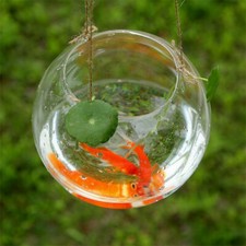 Vaso sfera da appendere in