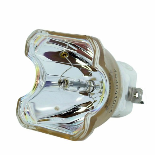 Lampadina lampada nuda