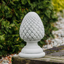 Pigne coni noce di pino cembro