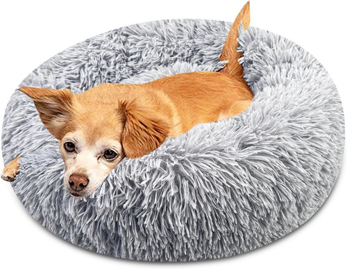 Cuccia gatto letto cane - cuccia,