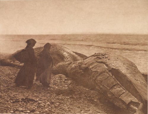 Edward curtis balena - edward,