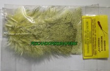 GIORGIO BENECCHI'S  PROD