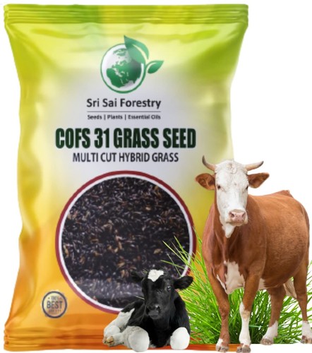 Sri sai forestry cofs - sri,