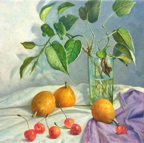 Damato natura viva olio - natura,