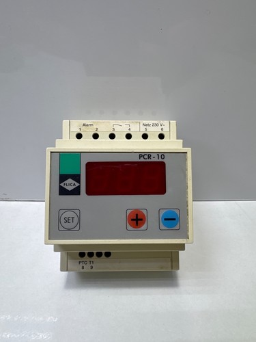 Flica pcr controllo - pcr-10,